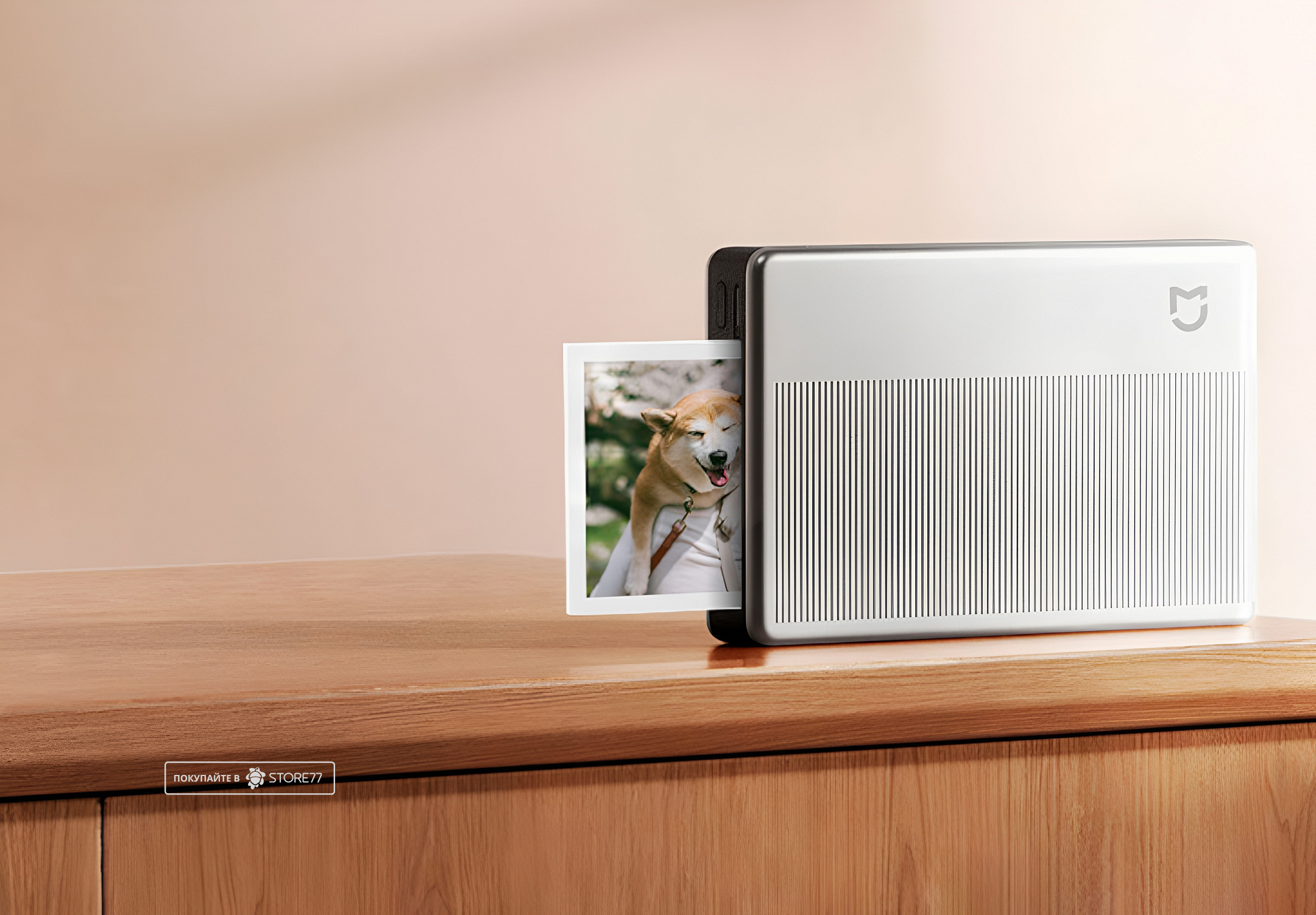 Фотопринтер Xiaomi Portable Photo Printer 1S (Cеребристый)
