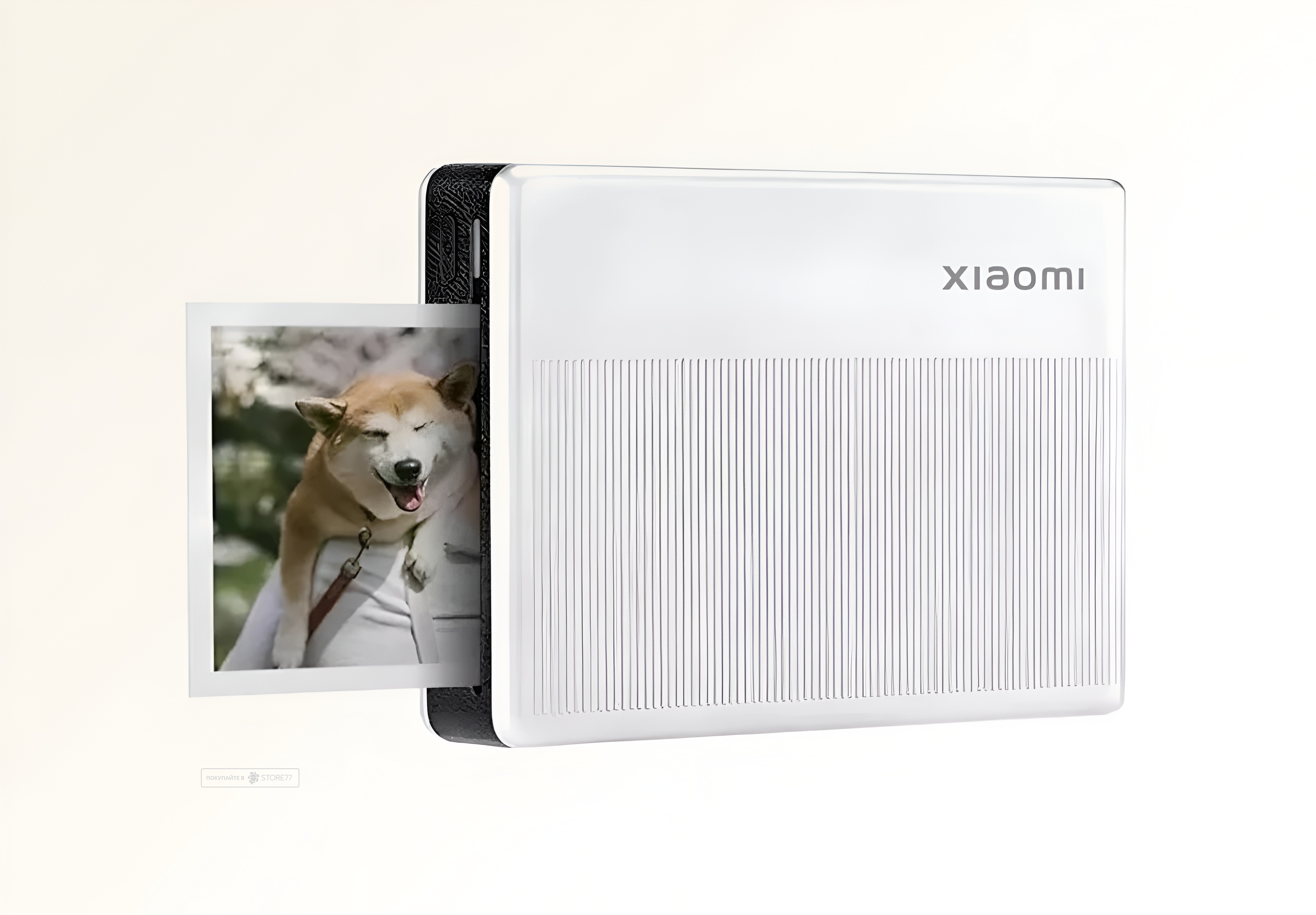 Фотопринтер Xiaomi Portable Photo Printer 1S (Cеребристый)