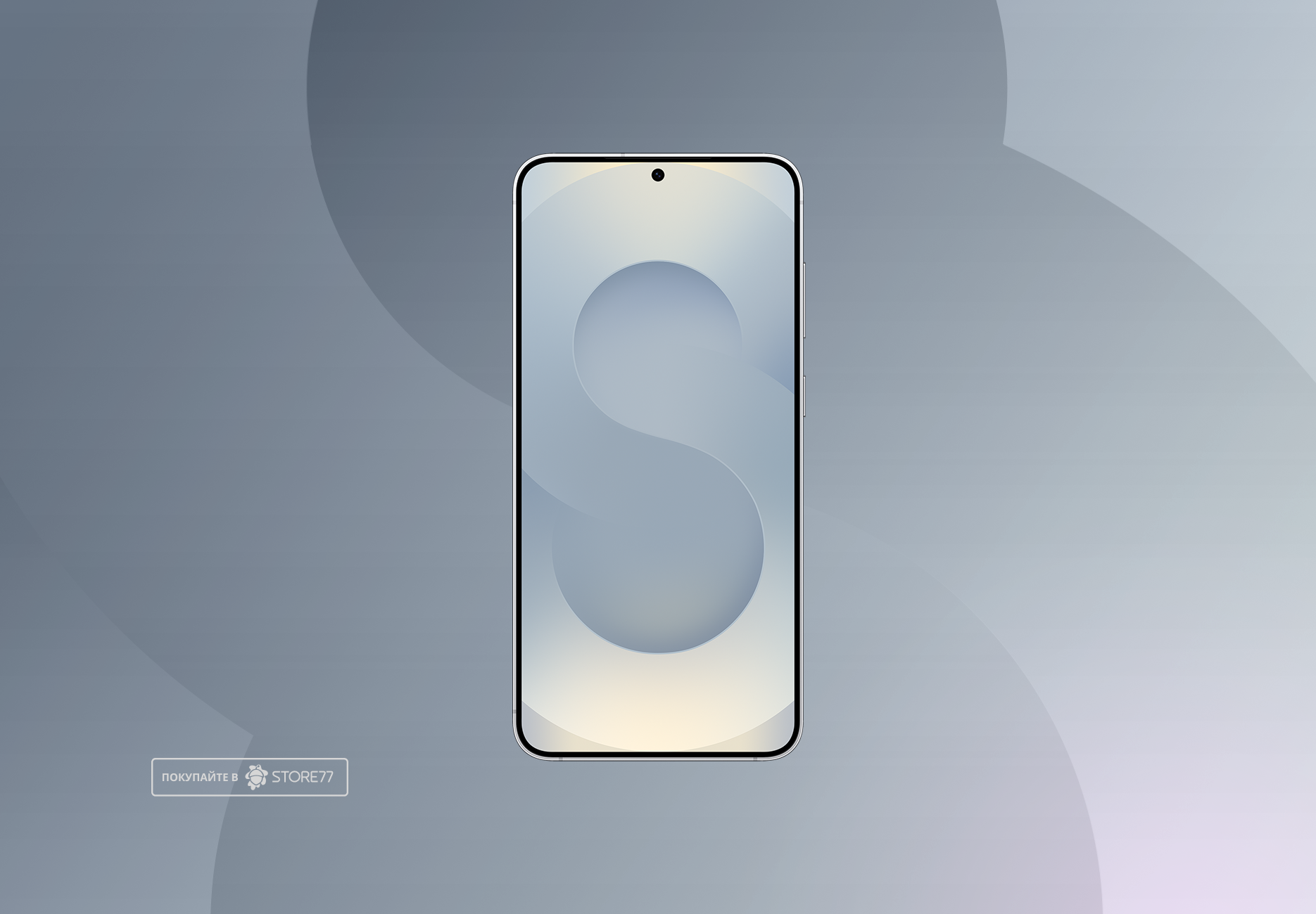 Телефон Samsung Galaxy S25+ 12/256 ГБ, цвет: дымчато-серебристый (Silver Shadow)