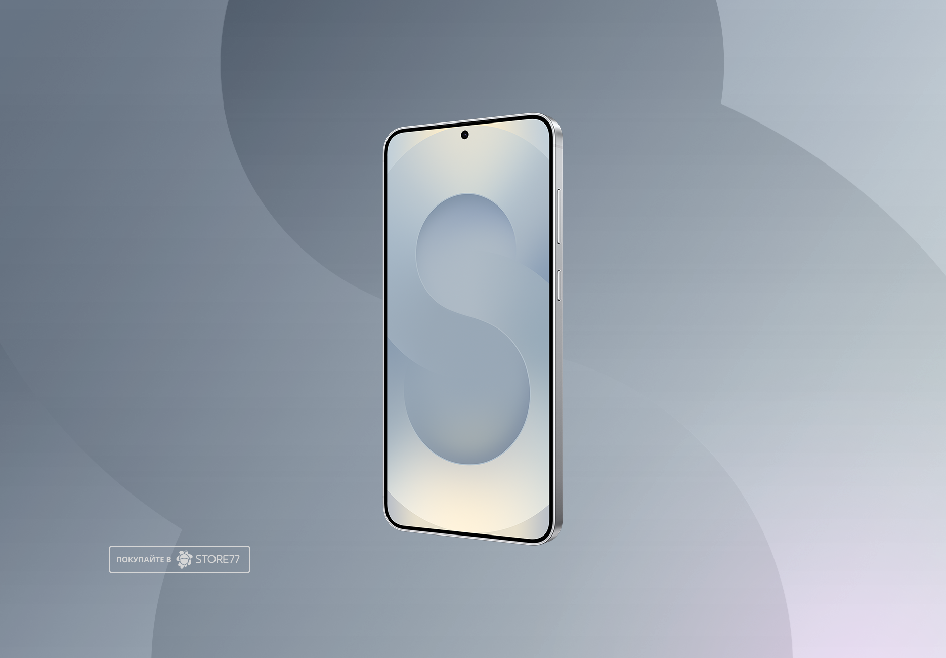 Телефон Samsung Galaxy S25+ 12/256 ГБ, цвет: дымчато-серебристый (Silver Shadow)
