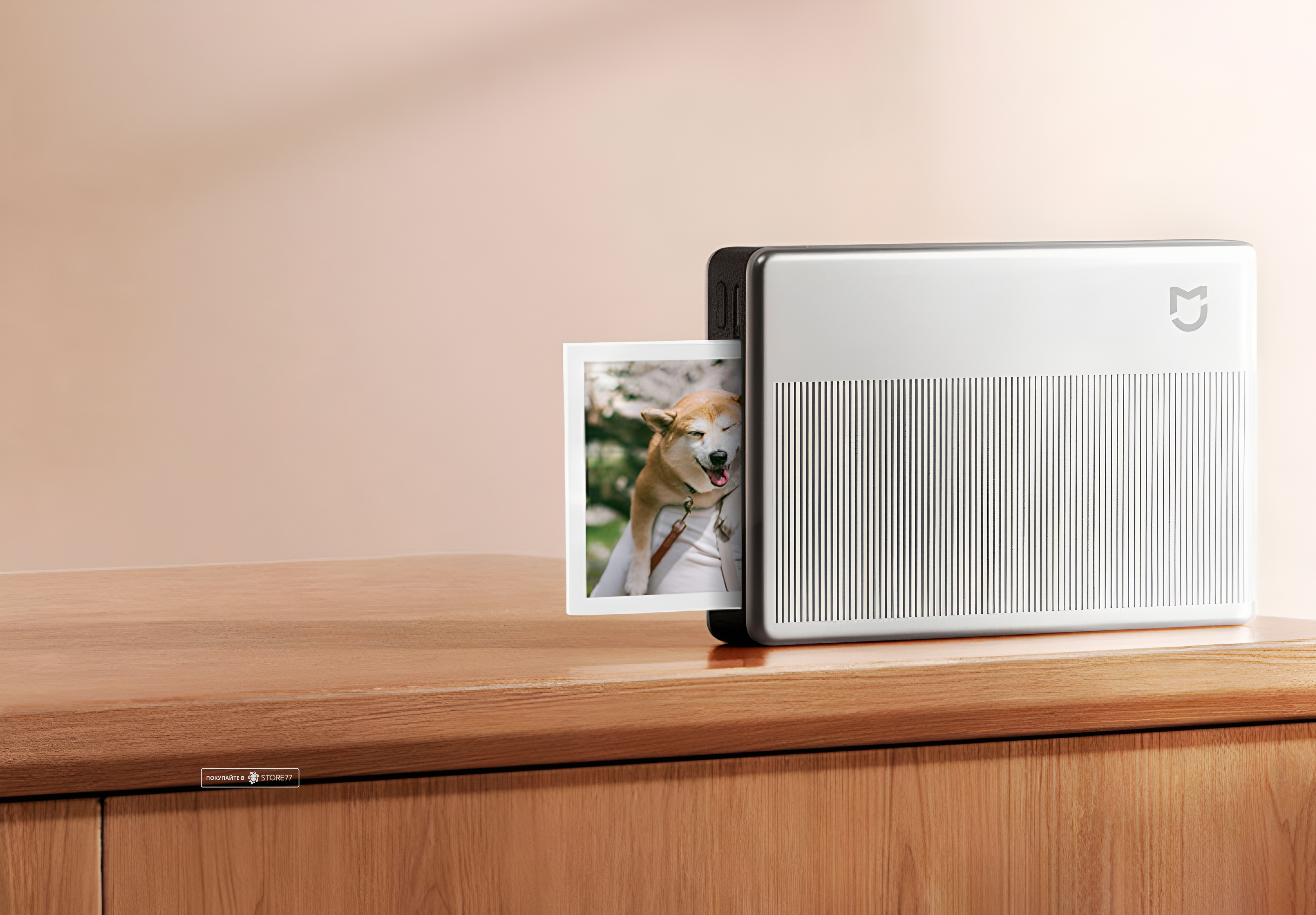Фотопринтер Xiaomi Portable Photo Printer 1S (Cеребристый)