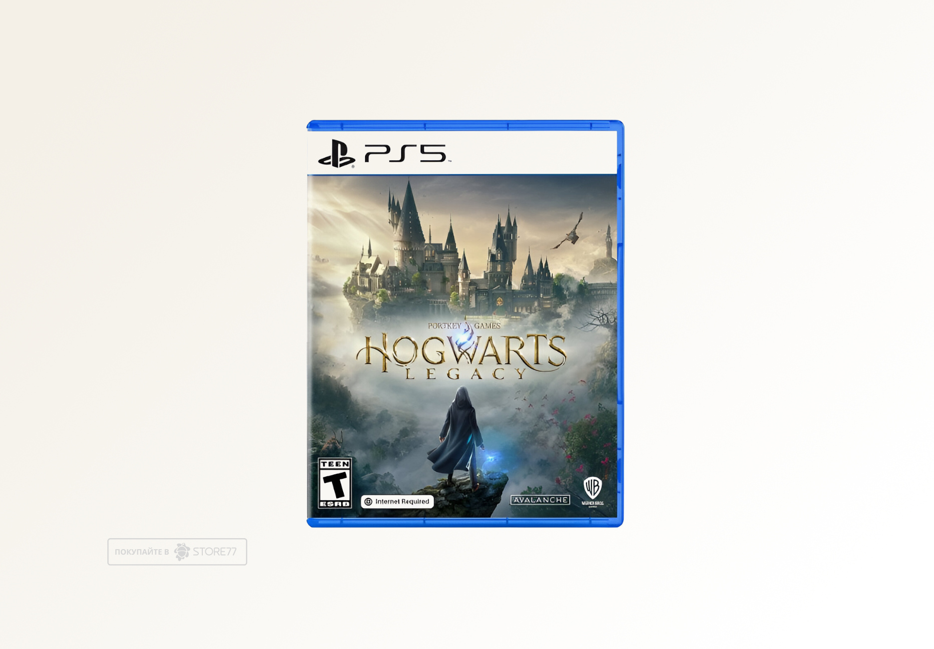 Игра Hogwarts Legacy для PlayStation 5 (PS5), русские субтитры